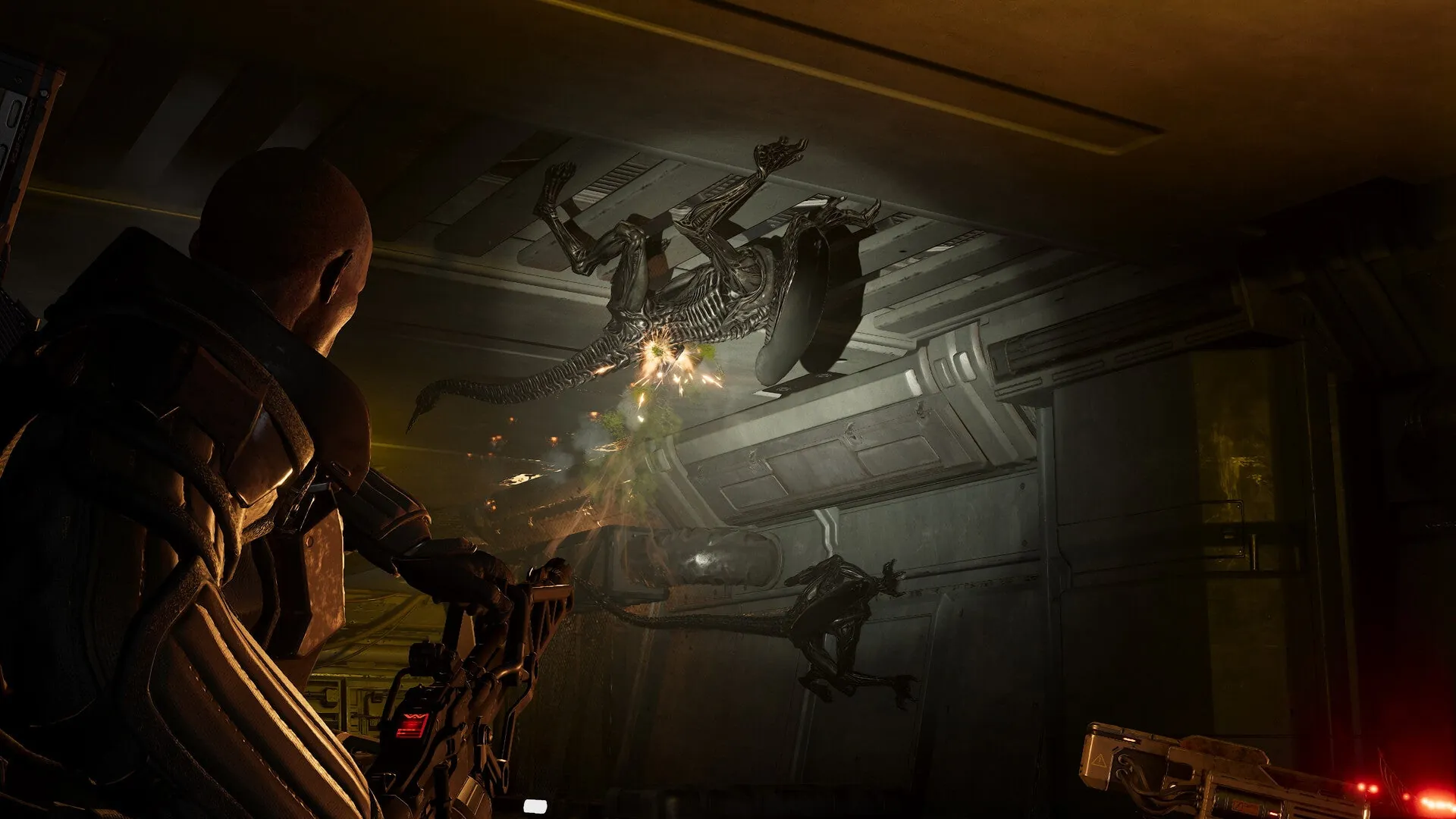Релиз Aliens: Fireteam Elite 2 для Nintendo Switch 2 перенесён на начало 2027 года