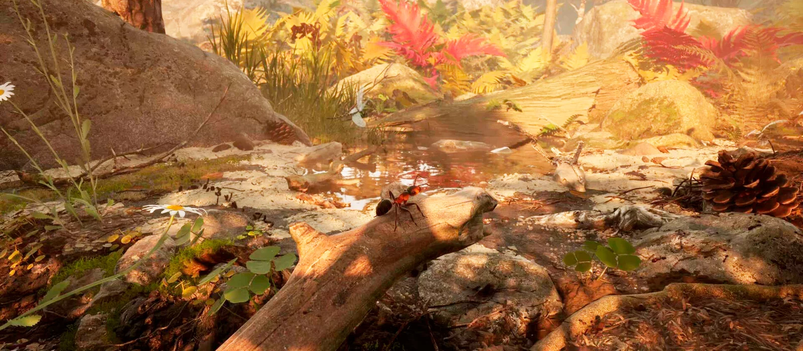 Показан релизный трейлер симулятора муравья с фотореалистичной графикой, который уже доступен некоторым игрокам