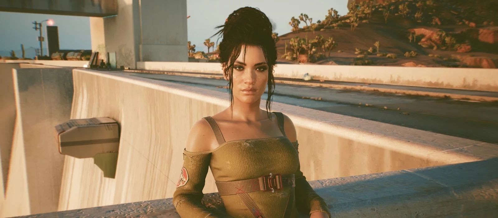 Игрок случайно «убил» Панам, пытаясь сделать красивый кадр в Cyberpunk 2077