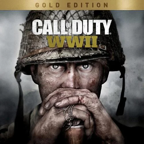 Call of Duty: WWII для PS4, PS5 за 99 ₽