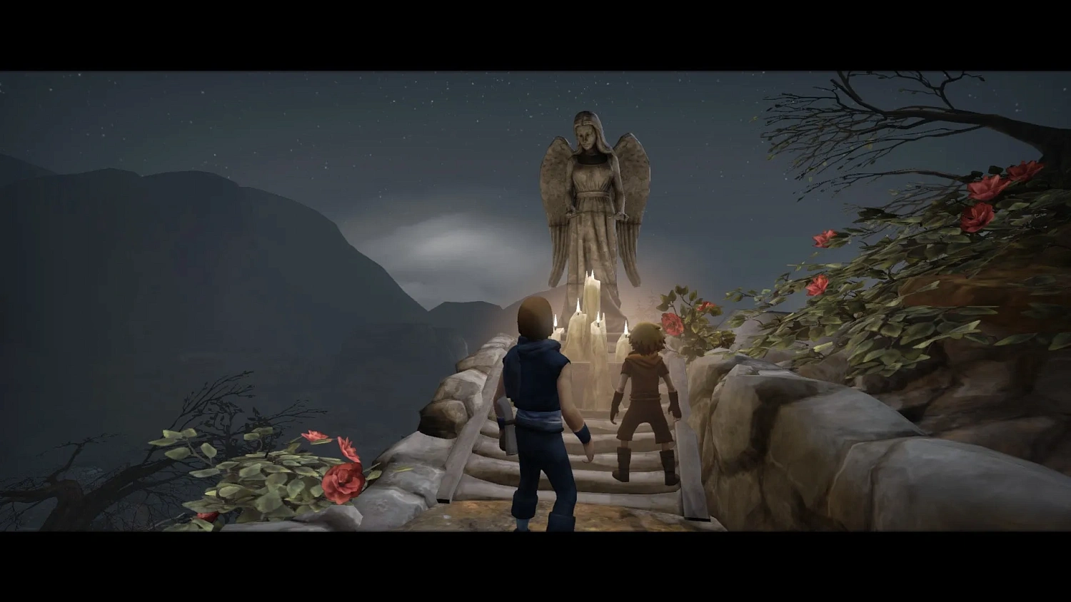 Brothers: a Tale of two Sons