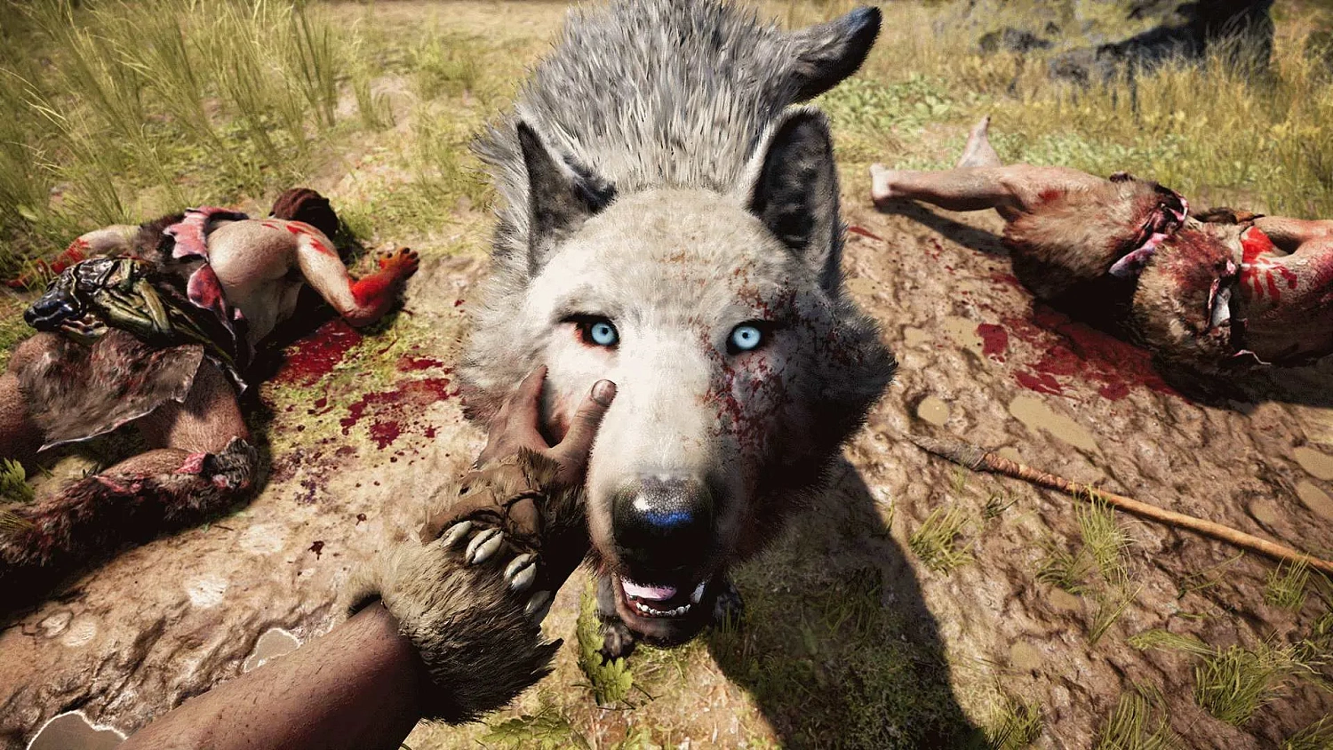 Far Cry 4 + Far Cry Primal